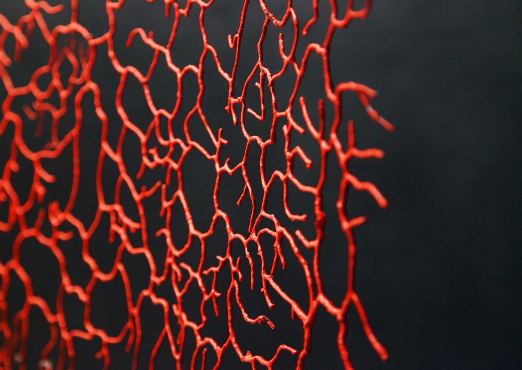 2008
300 x 300 cm
Metal threads, fibers
Unique piece
(détail)
