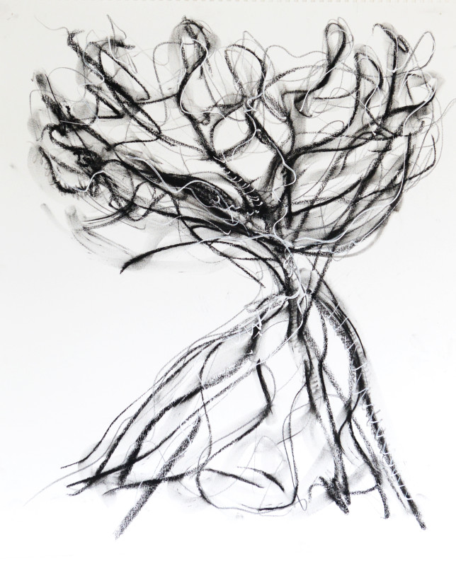 2012
Charcoal & ink on paper
H 55 cm x W 46 cm