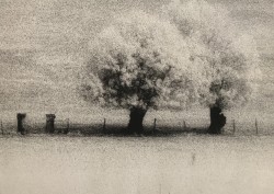 1987
Infrared photography. Print made by the artist
30,5 x 40 cm
Limited edition of 8