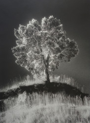 1993
Infrared photography. Print on paper made by the artist
40 x 30,5 cm
Limited edition of 8