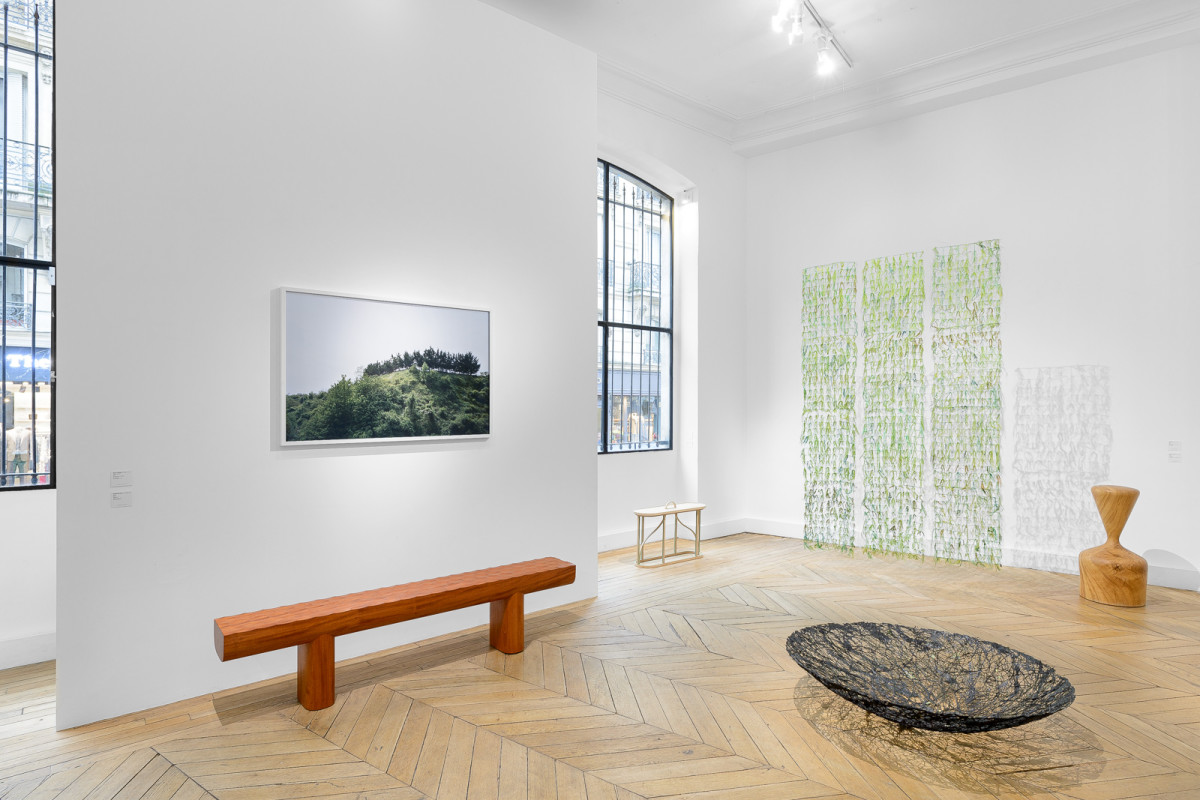 Gallery Wettergren — Into the Woods
